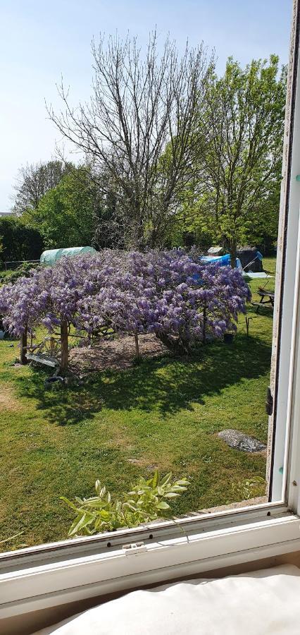 Wisteria House Bed and Breakfast Chanteloup  Exteriör bild