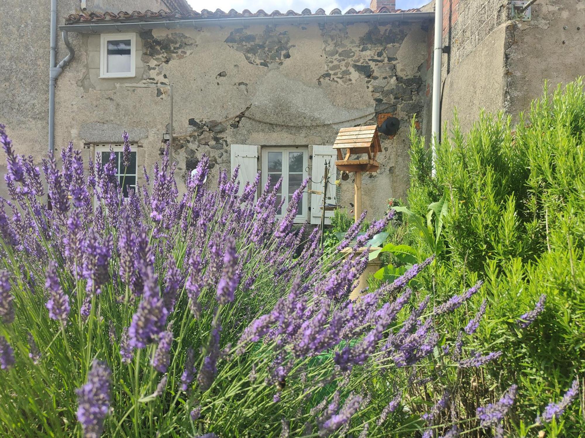 Wisteria House Bed and Breakfast Chanteloup  Exteriör bild