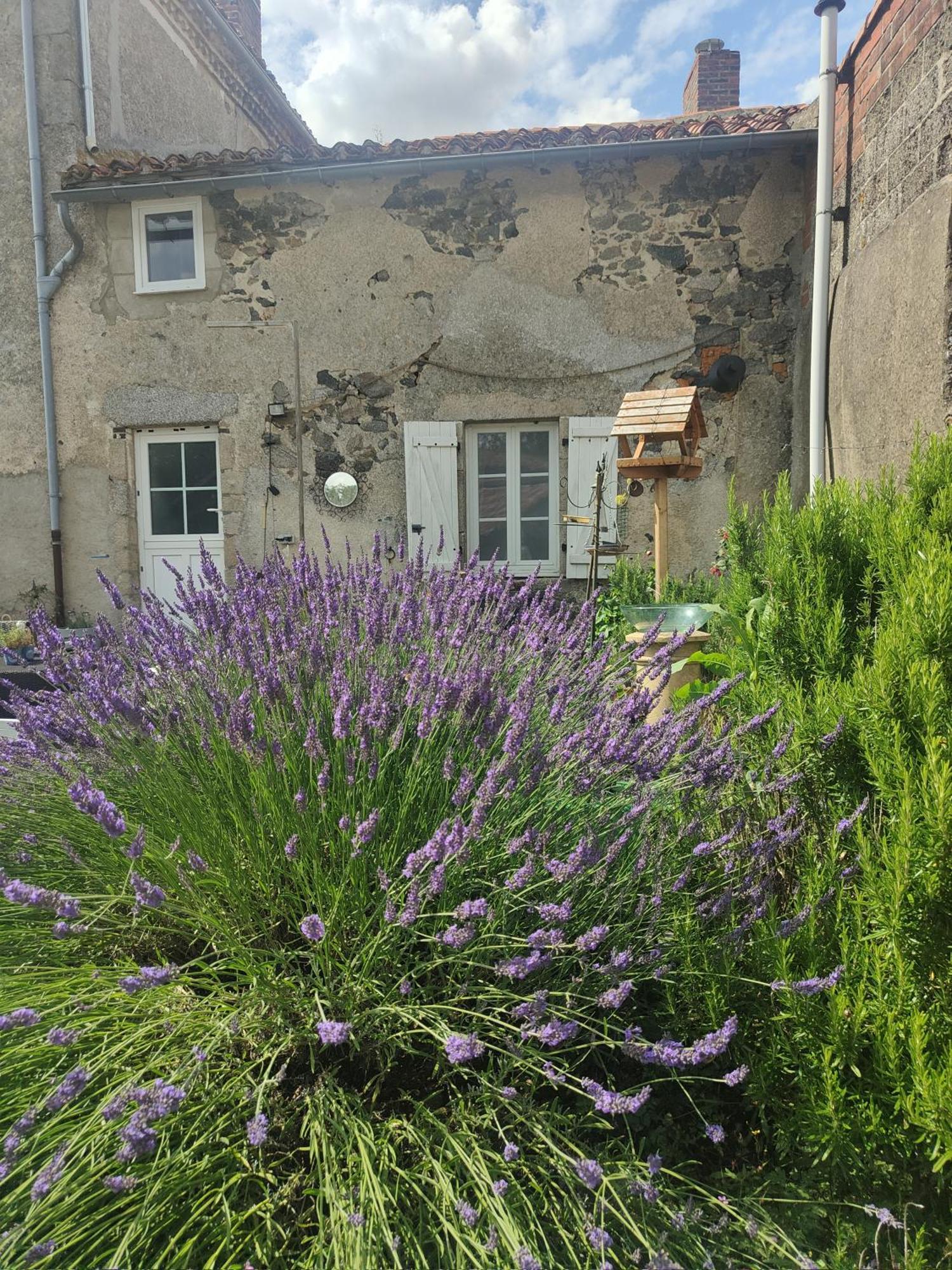Wisteria House Bed and Breakfast Chanteloup  Exteriör bild