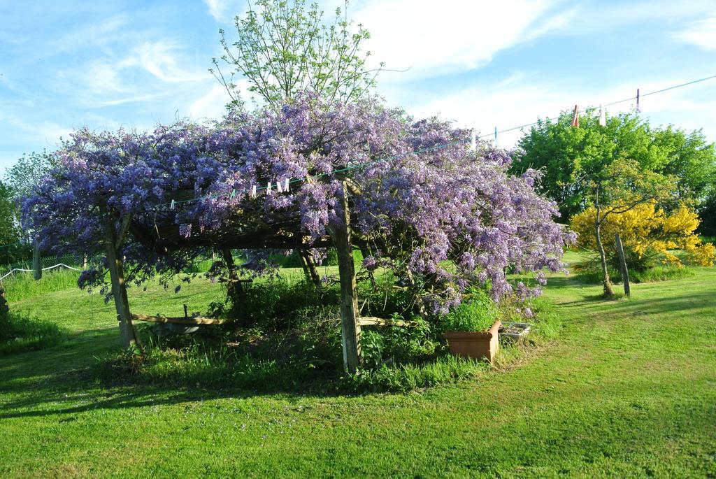Wisteria House Bed and Breakfast Chanteloup  Exteriör bild